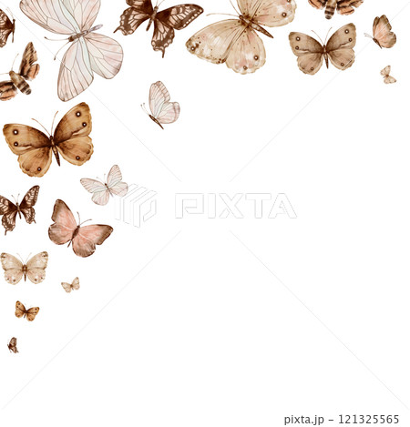 Butterflies are beige and brown flying and moth in vintage style. Hand drawn watercolor illustration. Square frame, template on a white background, for design 121325565