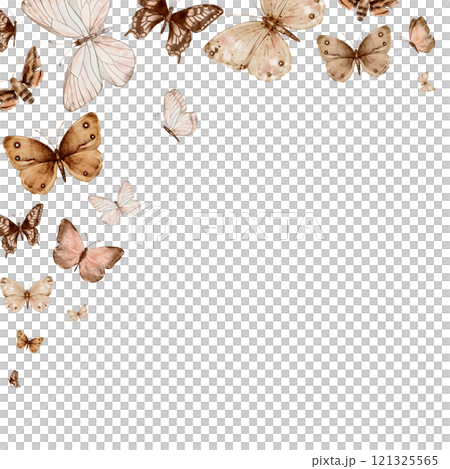 Butterflies are beige and brown flying and moth in vintage style. Hand drawn watercolor illustration. Square frame, template on a white background, for design 121325565