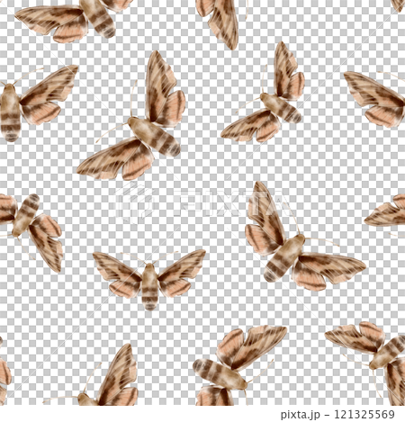 Brown and beige butterflies in vintage style on a whitebackground, seamless pattern. Watercolor illustration. For fabric,textiles, wallpaper, wrapping paper, wrappers, covers, prints, clothing. Brown and beige butterflies in vintage style on a whitebackground, seamless pattern. Watercolor illustration. For fabric,textiles, wallpaper, wrapping paper, wrappers, covers, prints, clothing. 121325569