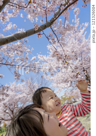 桜の咲く公園で遊ぶ母と子 121326084