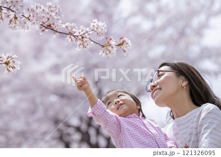 桜の咲く公園で遊ぶ母と子 桜の咲く公園で遊ぶ母と子 121326095