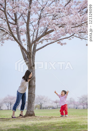 桜の咲く公園で遊ぶ母と子 桜の咲く公園で遊ぶ母と子 121326099