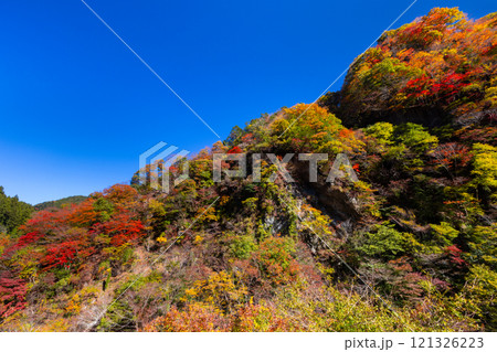 埼玉県秩父市大滝　奥秩父荒川沿い彩甲斐街道雁坂みちに隣接する大血川橋付近の紅葉 121326223