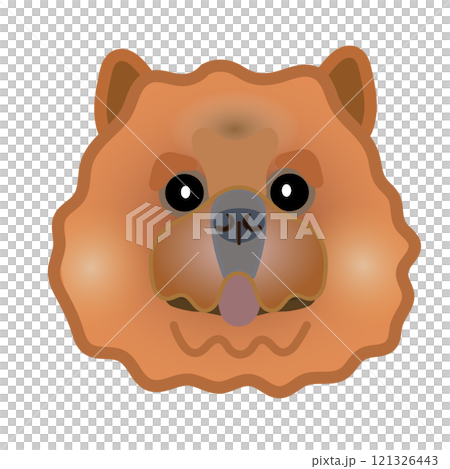 チャウチャウの顔のイラスト チャウチャウの顔のイラスト 121326443