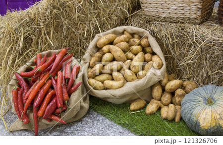 Photo of food show fruit chili pumpkin potato 121326706