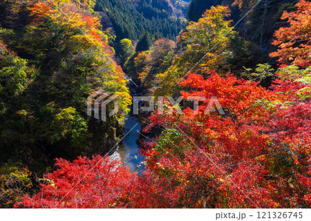 埼玉県秩父市大滝　奥秩父荒川沿いの紅葉の名所金蔵落しの渓流のもみじと荒川の流れ 121326745