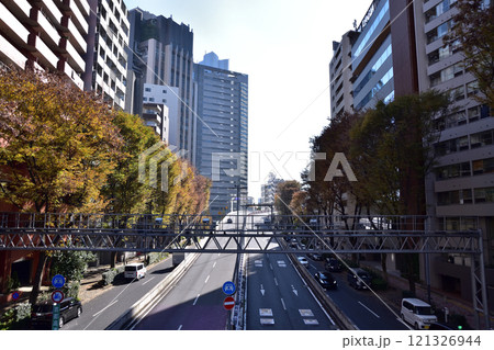 西新宿・角筈橋から首都高新宿線の黄葉の眺め 121326944