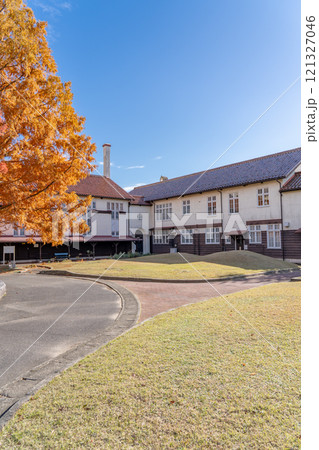 ハイド記念館(旧清友園幼稚園)と教育会館(講堂兼体育館) ハイド記念館(旧清友園幼稚園)と教育会館(講堂兼体育館) 121327046