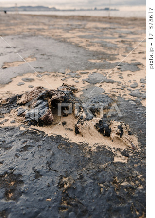 Dead bird died due to oil. Fuel oil in sea coastline after a tanker wreck. 121328617