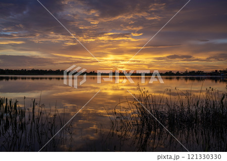 Florida lake nature at sunset. Recreational wildlife area in Wellen park in Venice 121330330