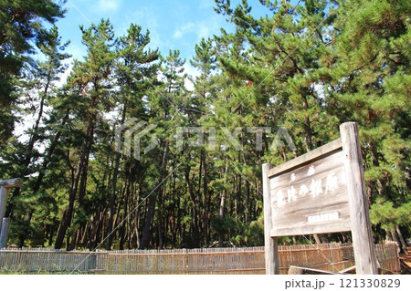 名勝気比の松原 名勝気比の松原 121330829