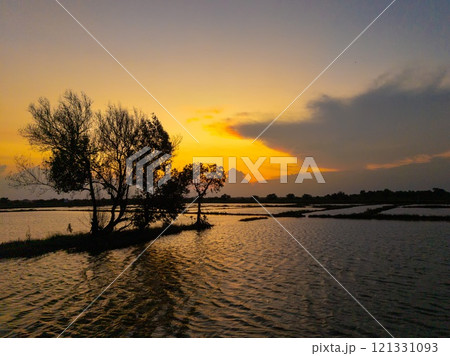 Silhouetted trees stand tall against a fiery sunset over a tranquil rice field. Silhouetted trees stand tall against a fiery sunset over a tranquil rice field. 121331093