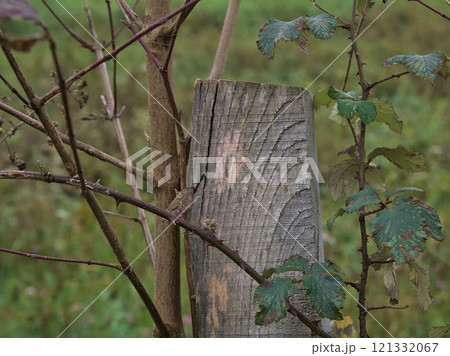 wood from a fence wood from a fence 121332067