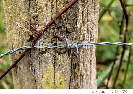 wire fence post 121332202