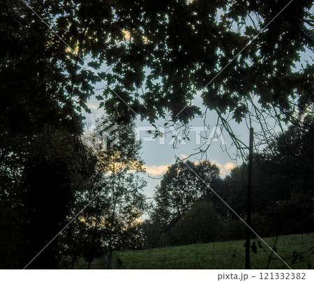 green fenced meadow 121332382