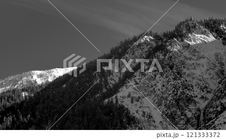Black and White Photograph of a Sunlit Mountainside with a Forest Black and White Photograph of a Sunlit Mountainside with a Forest 121333372