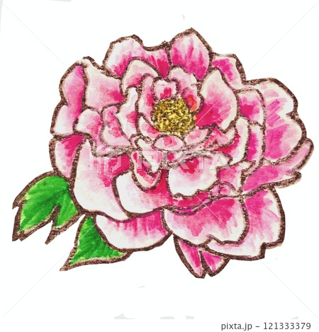 水彩で描いたピンクの芍薬のイラスト 121333379