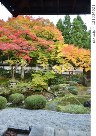 御寺泉涌寺　秋の御座所庭園(京都市東山区) 121334621