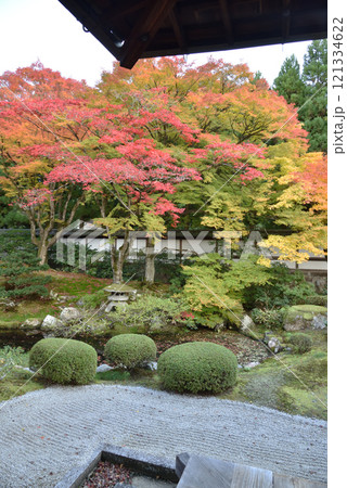 御寺泉涌寺　秋の御座所庭園(京都市東山区) 121334622