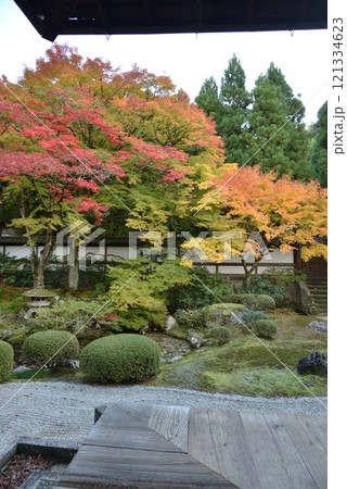 御寺泉涌寺 秋の御座所庭園(京都市東山区) 御寺泉涌寺 秋の御座所庭園(京都市東山区) 121334623