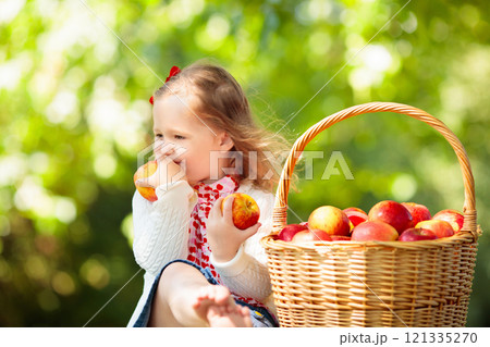 Little girl picking apples Little girl picking apples 121335270