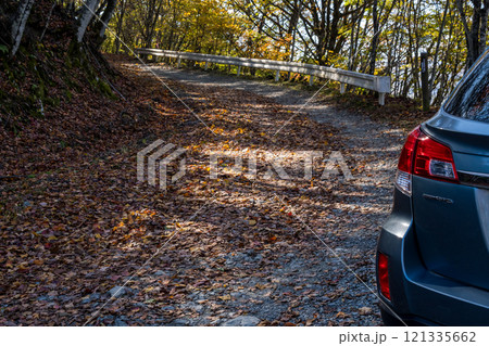 【御荷鉾スーパー林道】秋深まるオフロード 121335662