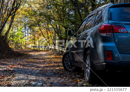 【御荷鉾スーパー林道】秋深まるオフロード 121335677