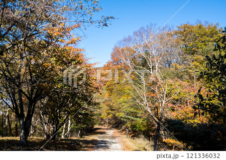 【御荷鉾スーパー林道】秋深まるオフロード 【御荷鉾スーパー林道】秋深まるオフロード 121336032