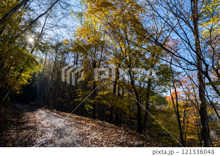 【御荷鉾スーパー林道】秋深まるオフロード 121336048