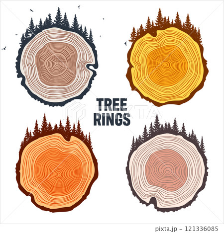 Round tree trunk cuts with trees, forest and birds. Sawn pine or oak slices, lumber. Saw cut timber, wood. Brown wooden texture with tree rings. Hand drawn sketch. Vector illustration 121336085