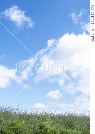 夏草と爽やかな夏空 蒜山高原 夏草と爽やかな夏空 蒜山高原 121336473