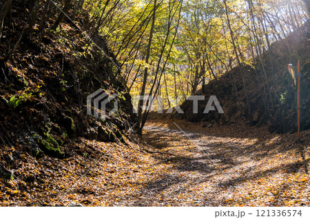【御荷鉾スーパー林道】秋深まるオフロード 【御荷鉾スーパー林道】秋深まるオフロード 121336574