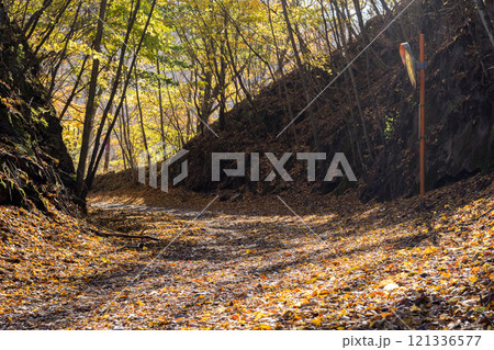 【御荷鉾スーパー林道】秋深まるオフロード 【御荷鉾スーパー林道】秋深まるオフロード 121336577