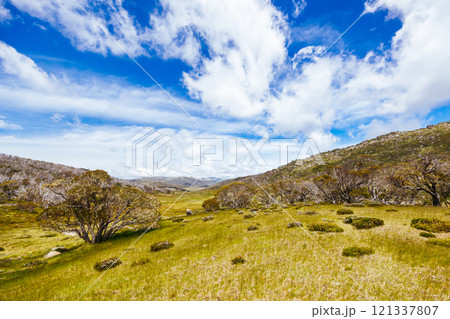 Porcupine Rocks Walk in Australia 121337807
