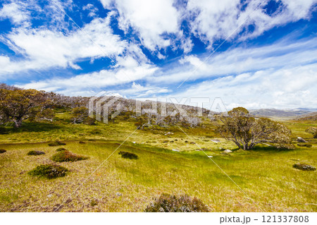 Porcupine Rocks Walk in Australia Porcupine Rocks Walk in Australia 121337808