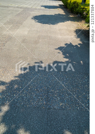 街路樹の緑陰 街路樹の緑陰 121337884