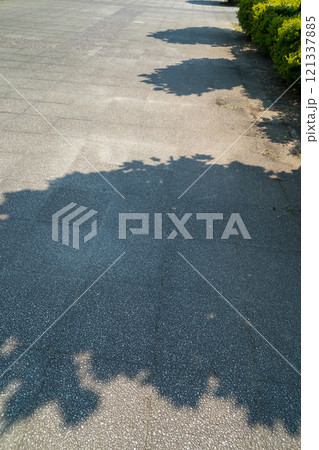 街路樹の緑陰 街路樹の緑陰 121337885