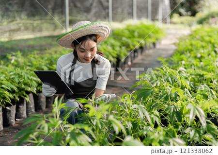 Young Woman Cultivates Herbal Garden Using Modern Technology and Sustainable Practices in a Greenhouse Setting Young Woman Cultivates Herbal Garden Using Modern Technology and Sustainable Practices in a Greenhouse Setting 121338062