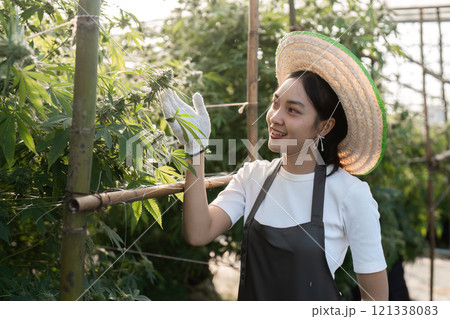 Young Woman Cultivating a Herbal Garden with Modern Technology and Sustainable Practices in a Greenhouse Environment 121338083