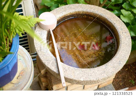 水鉢に沈む紅葉 水鉢に沈む紅葉 121338525