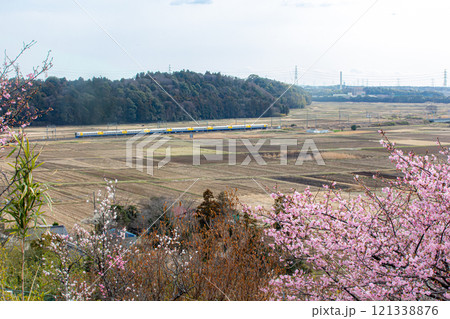 河津桜咲くモノサクの風景 河津桜咲くモノサクの風景 121338876