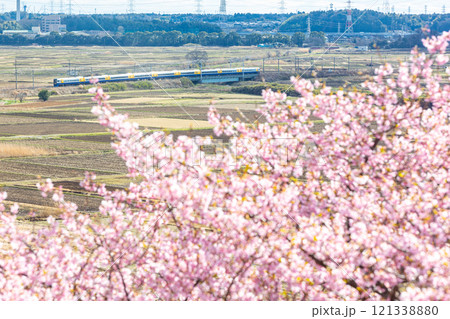 河津桜咲くモノサクの風景 河津桜咲くモノサクの風景 121338880