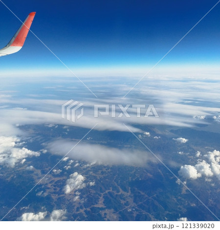 紺碧の大空を巡行飛行中～A320 121339020