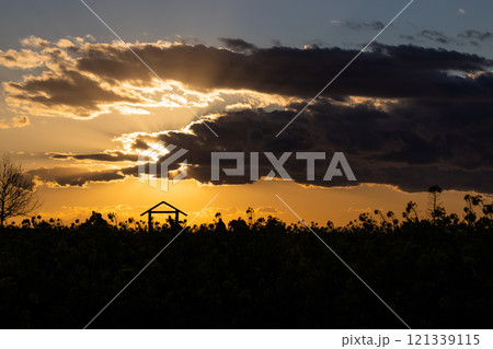 菜の花畑の夕景 121339115