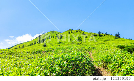夏の四阿山・根子岳登山(四阿山~根子岳) 夏の四阿山・根子岳登山(四阿山~根子岳) 121339199