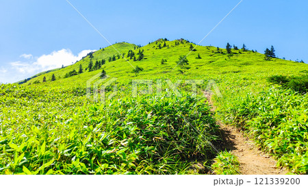 夏の四阿山・根子岳登山（四阿山～根子岳） 121339200