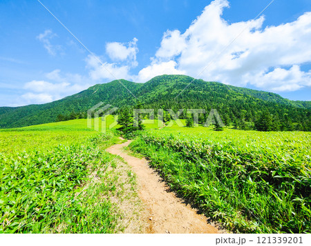 夏の四阿山・根子岳登山(根子岳~四阿山) 夏の四阿山・根子岳登山(根子岳~四阿山) 121339201