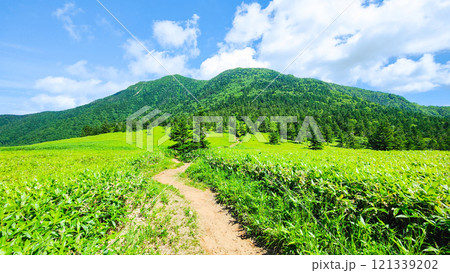 夏の四阿山・根子岳登山(根子岳~四阿山) 夏の四阿山・根子岳登山(根子岳~四阿山) 121339202