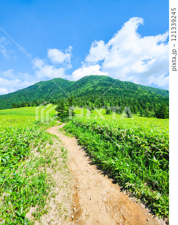 夏の四阿山・根子岳登山（根子岳～四阿山） 121339245