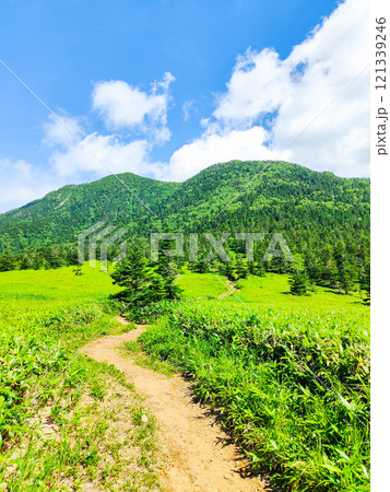 夏の四阿山・根子岳登山（根子岳～四阿山） 121339246
